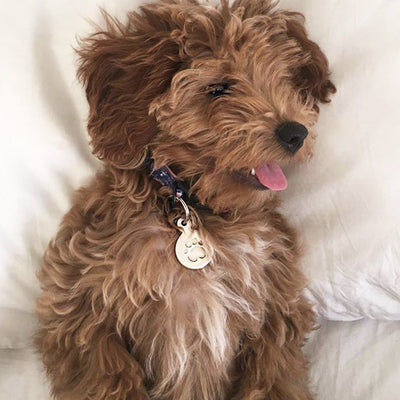 Large Paw Print Pet Tag Jewelry Helen Ficalora