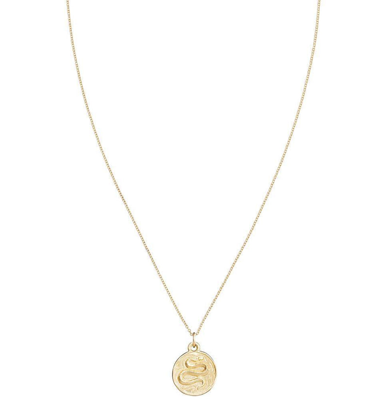Snake Coin Charm Jewelry Helen Ficalora