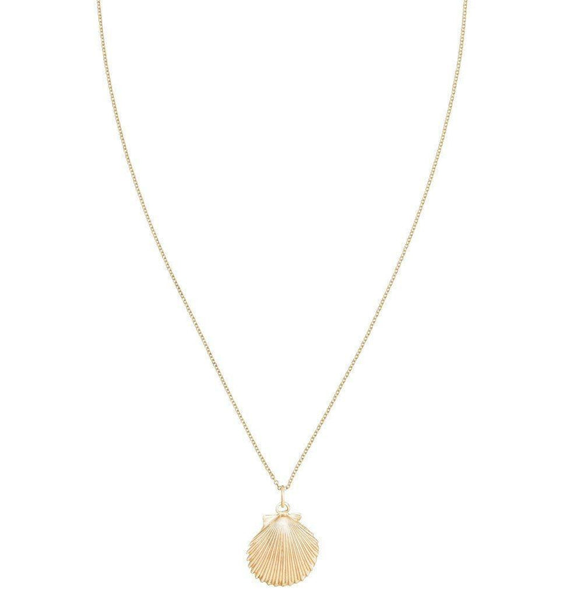 Large Scallop Shell Charm Jewelry Helen Ficalora