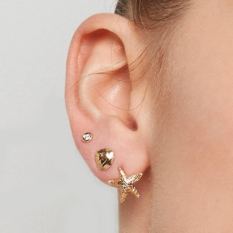 Baby Clam Stud Earrings Jewelry Helen Ficalora 14k Yellow Gold
