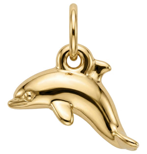 Dolphin Mini Charm