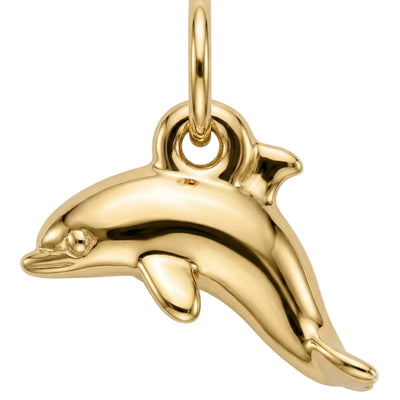 Dolphin Mini Charm