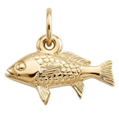 Fish Mini Charm