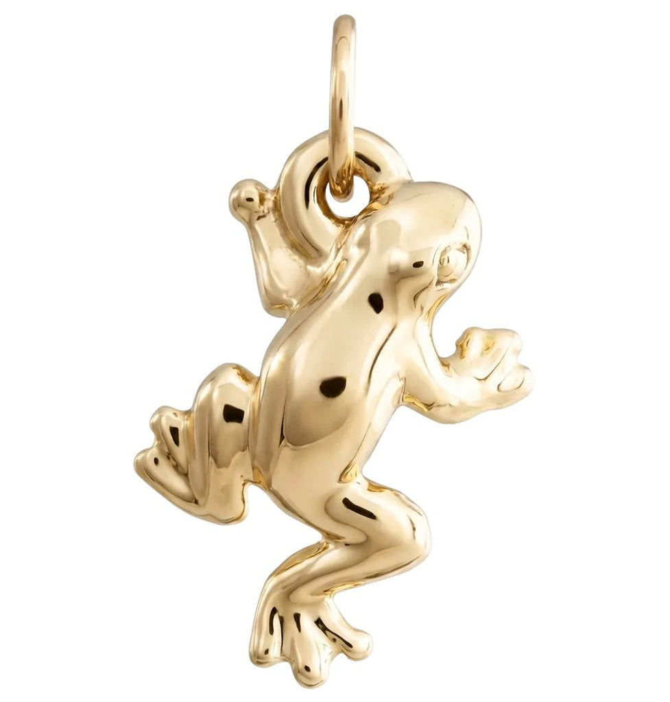Frog Mini Charm