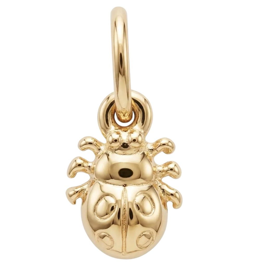 Ladybug Mini Charm