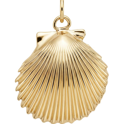 Large Scallop Shell Charm