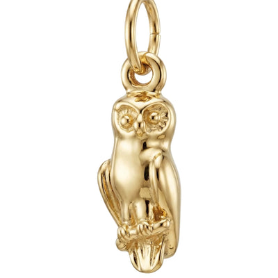Owl Mini Charm