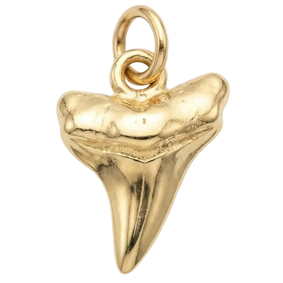 Gold shark tooth pendant on a white background
