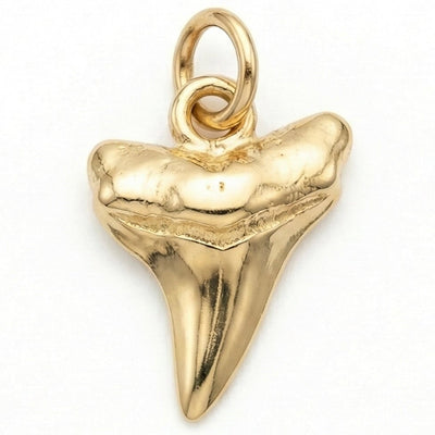 Shark Tooth Mini Charm