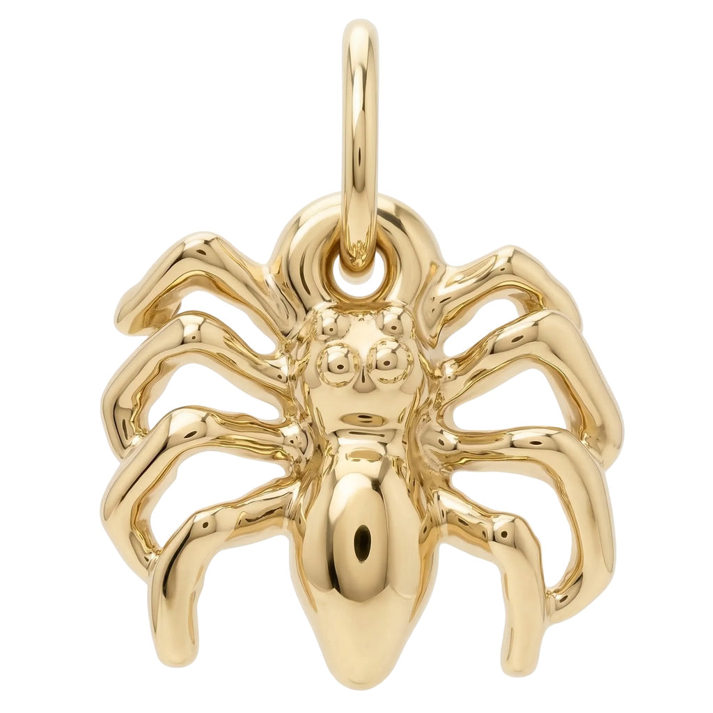 Spider Mini Charm