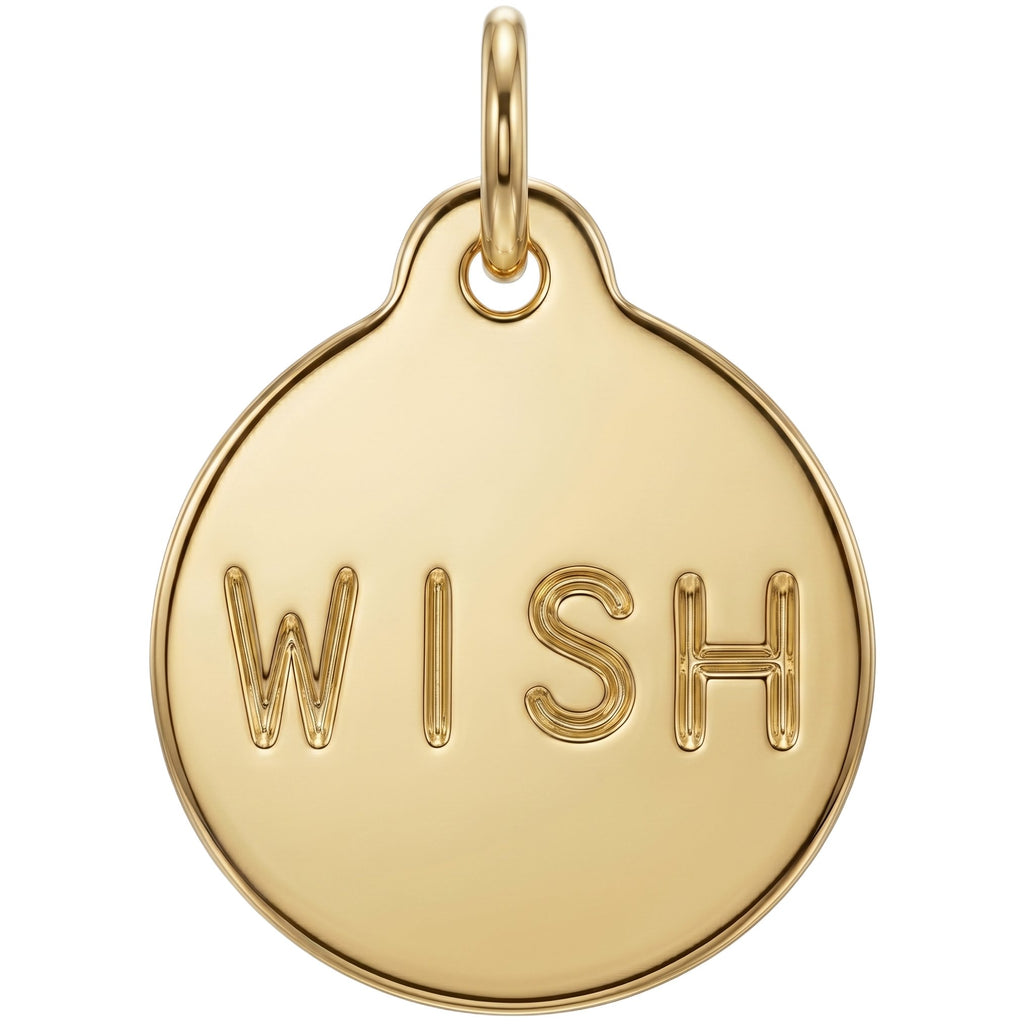 Wish Disk Charm
