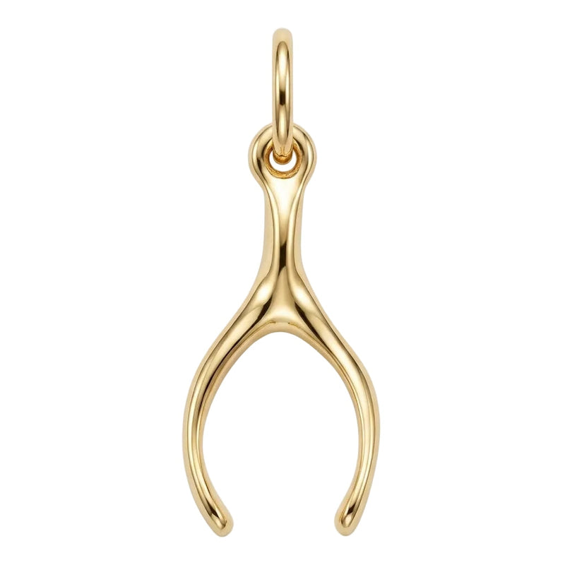 14k Gold Wishbone Charm