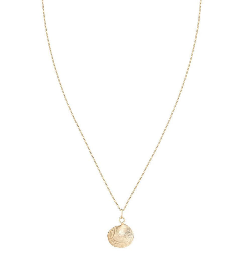 Clam Shell Charm Jewelry Helen Ficalora 