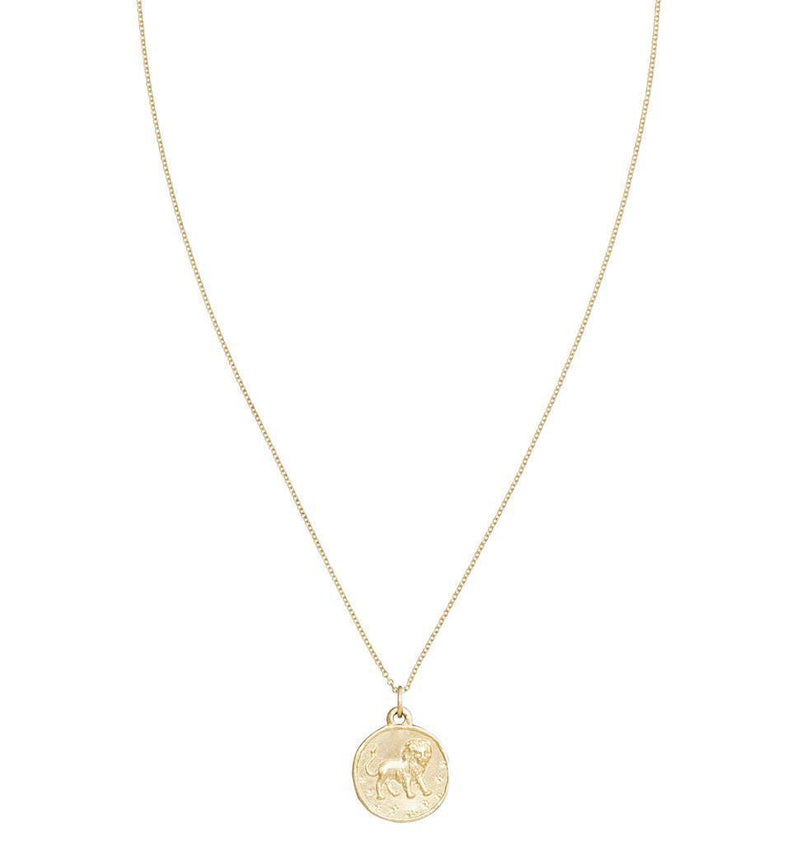 Lion Coin Charm Jewelry Helen Ficalora 