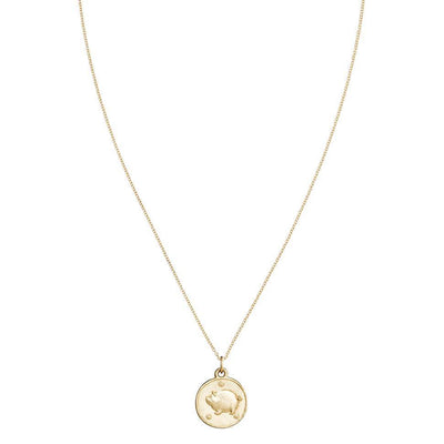 Pig Coin Charm Jewelry Helen Ficalora 