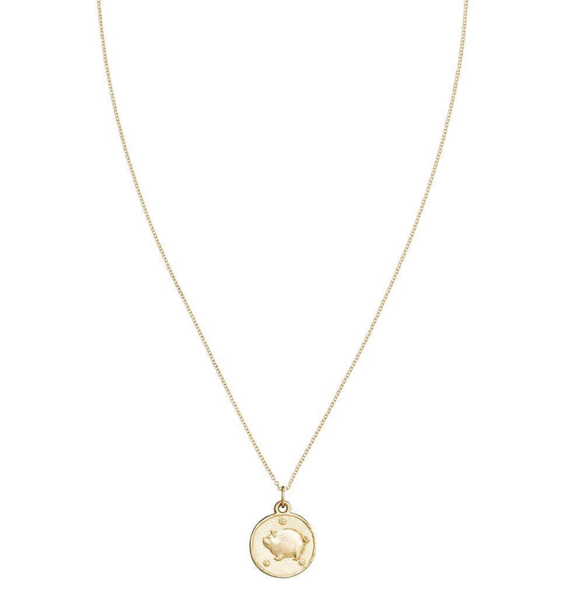 Pig Coin Charm Jewelry Helen Ficalora 