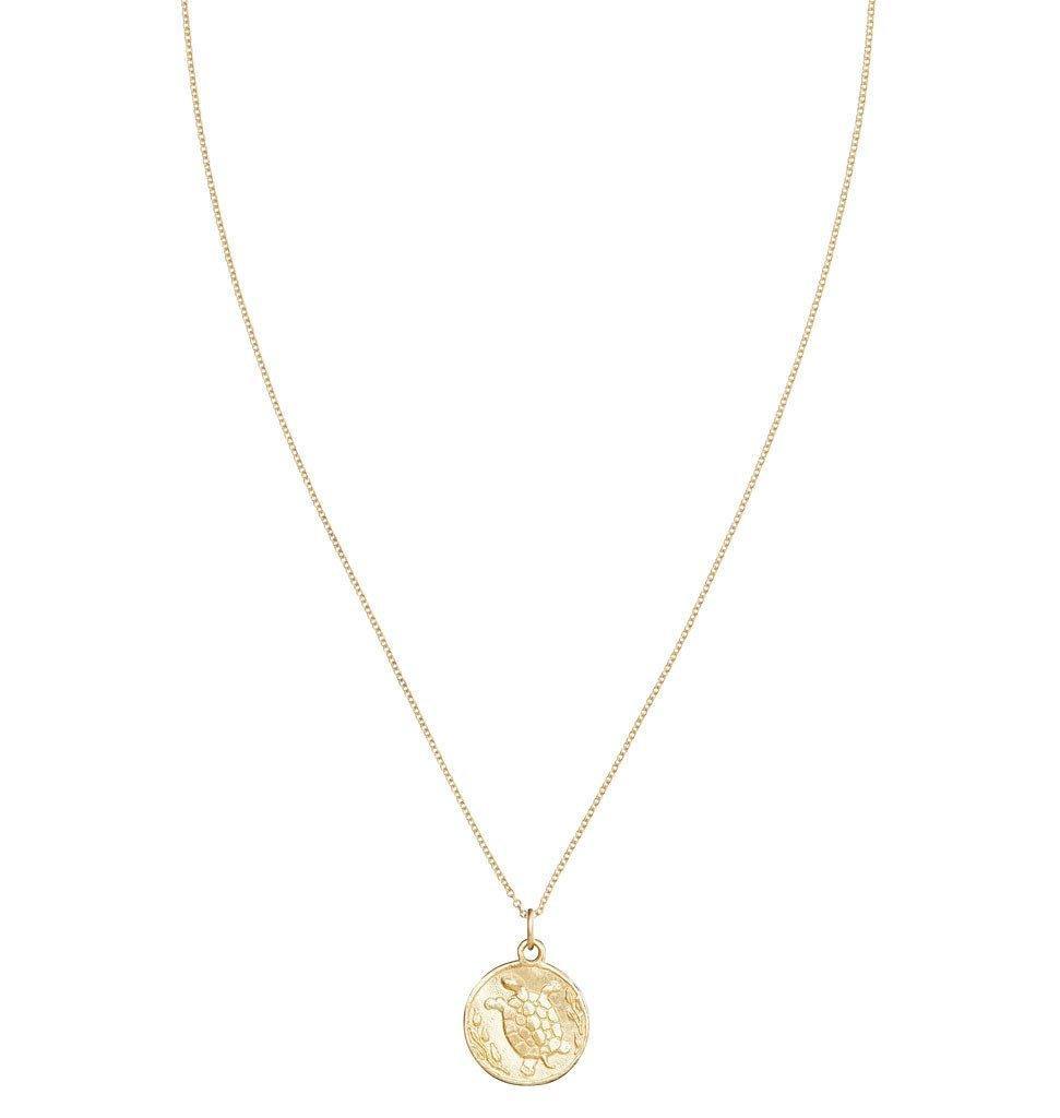 Turtle Coin Charm Jewelry Helen Ficalora 