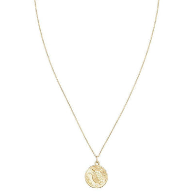 Turtle Coin Charm Jewelry Helen Ficalora 