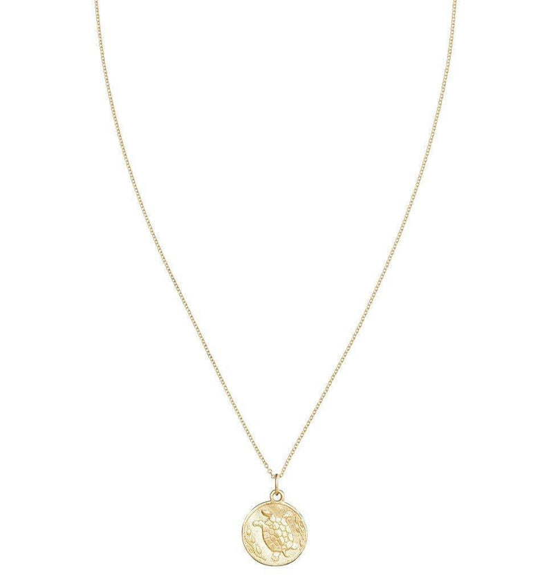 Turtle Coin Charm Jewelry Helen Ficalora 