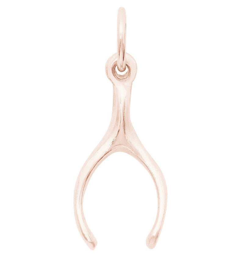 Helen Ficalora Gold Wishbone Charm