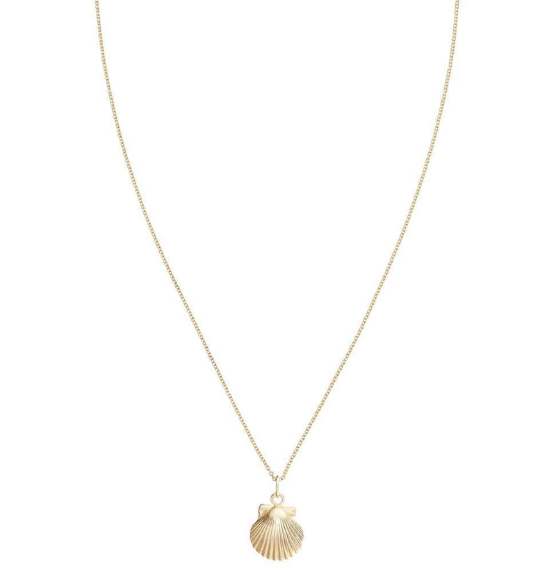 Small Scallop Shell Charm Jewelry Helen Ficalora 