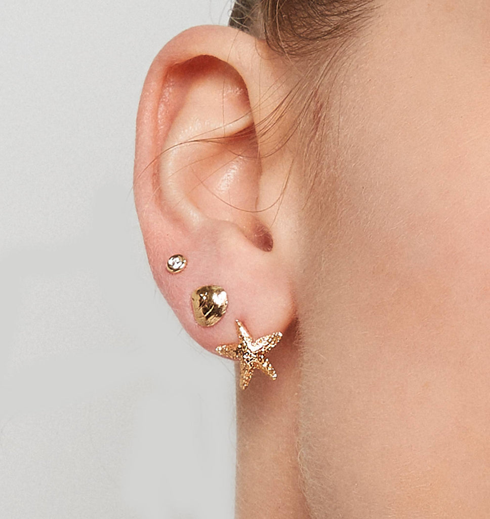 Starfish Stud Earrings Jewelry Helen Ficalora 14k Yellow Gold