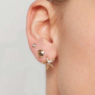 Starfish Stud Earrings Jewelry Helen Ficalora 14k Yellow Gold