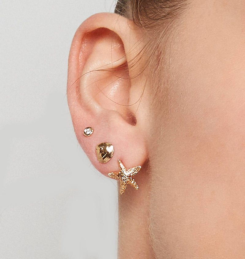 Starfish Stud Earrings Jewelry Helen Ficalora 14k Yellow Gold